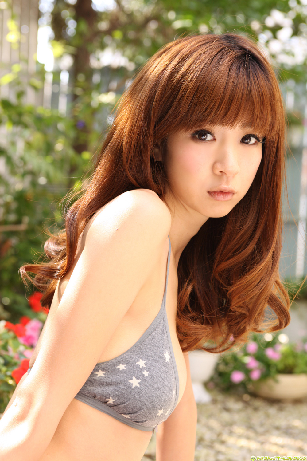 No.824 ほしのあき Aki Hoshino [DGC]